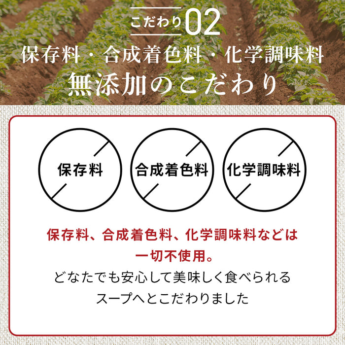 体をリセット野菜たっぷりスープ15食セット