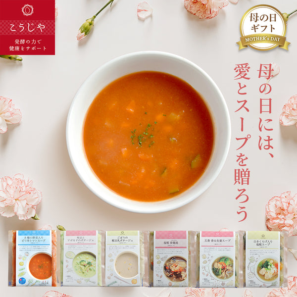 母の日限定 スープギフトセット