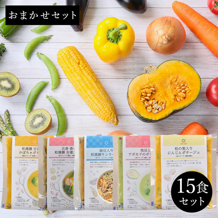 体をリセット野菜たっぷりスープ15食セット